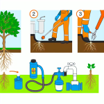 how to kill plant roots causing plumbing problems