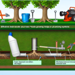 how to kill roots in plumbing